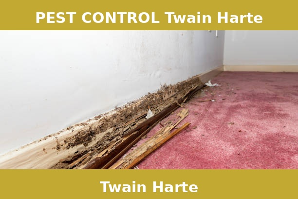 PEST CONTROL Twain Harte
